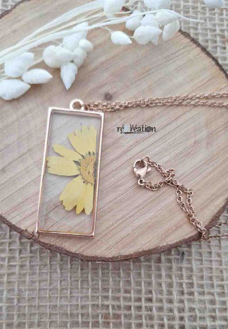Collier Aster