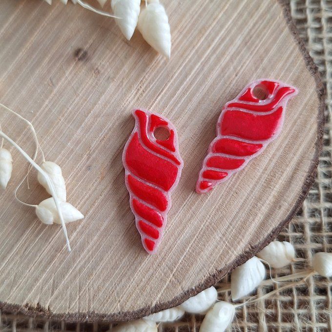 Coquillage Passion