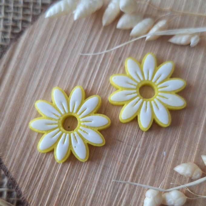Cueillir le printemps 