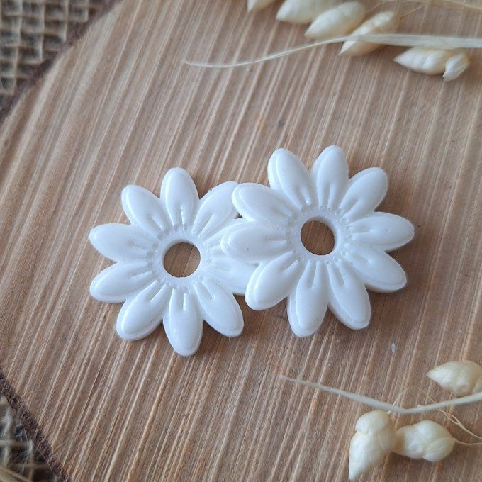 Marguerites 