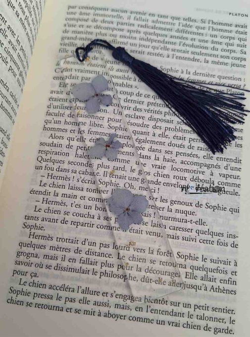Marque page Hortensia bleu